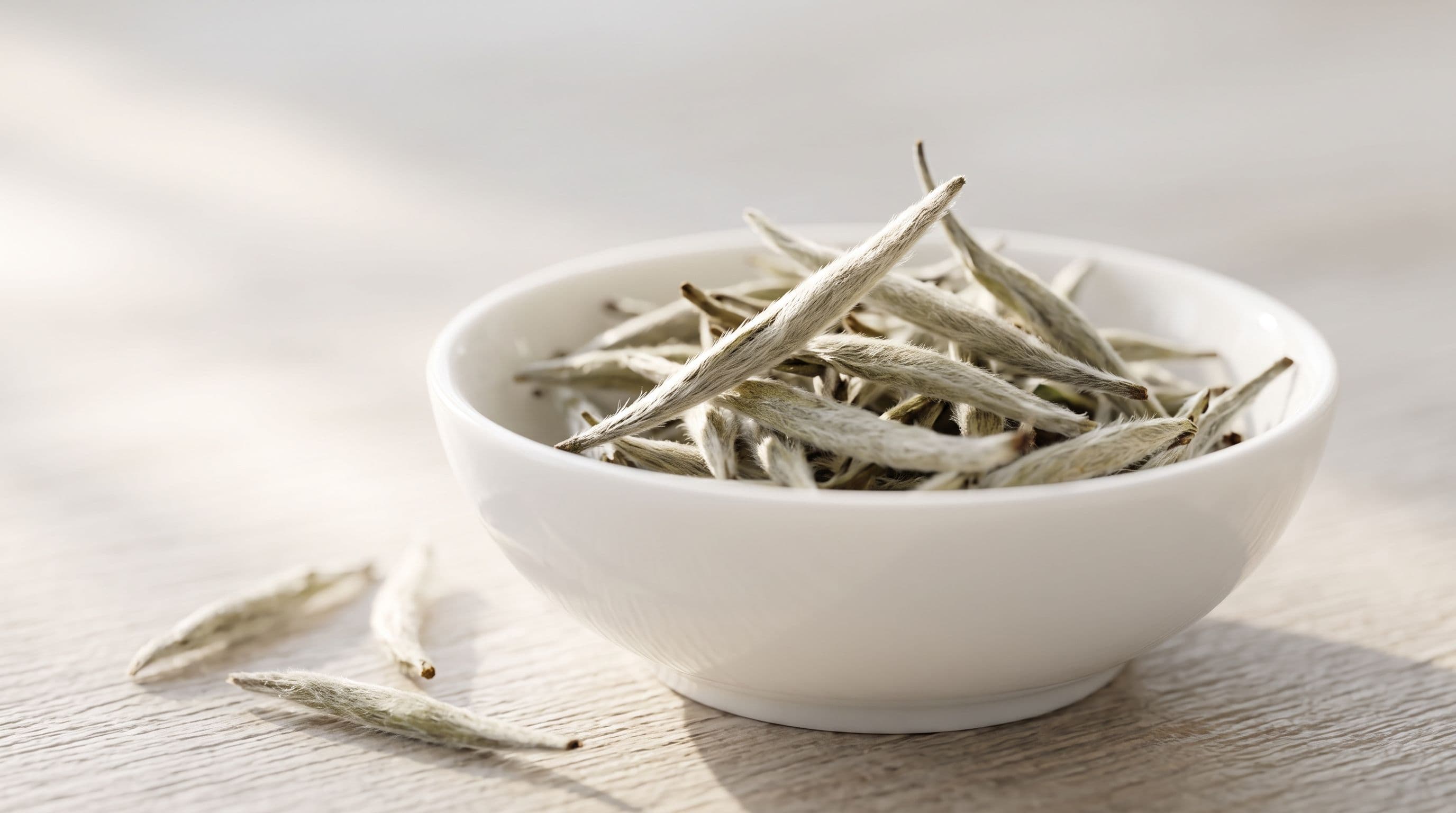 Beyaz Çay (Latince: Camellia sinensis)